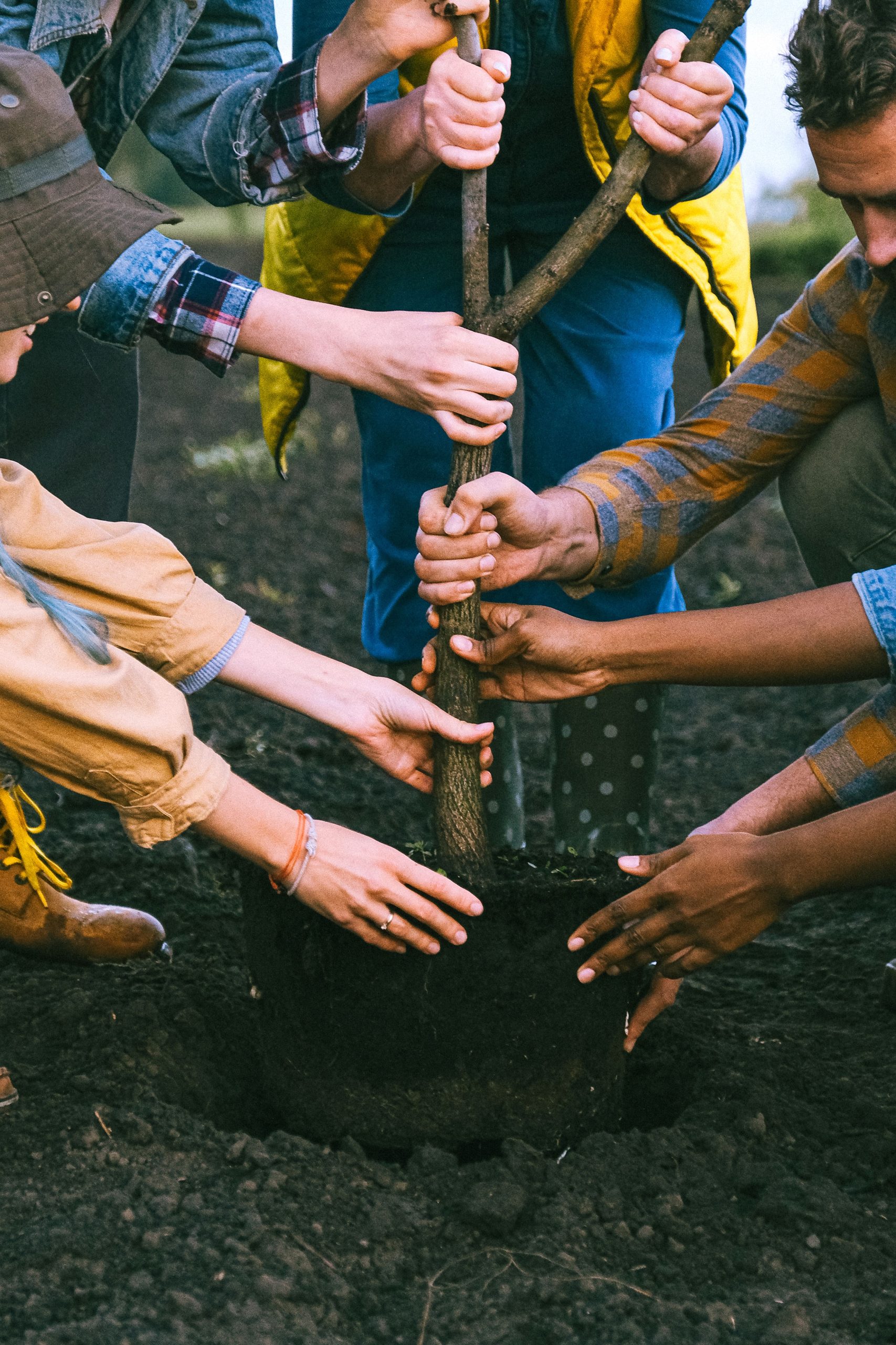 Teams work together to support each other people-hold-a-tree-together
